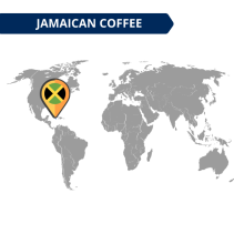 Kafijas pupiņas Jamaica Blue Mountain 250g izsmalcinātība