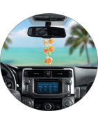 Citi auto gaisa atsvaidzinātāji | Auto aromāti | bmsbaltic.com