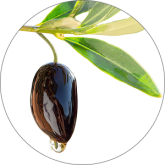 Olive oil
